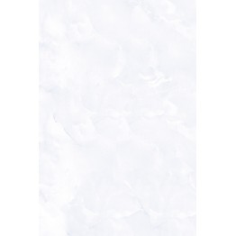 Gạch ốp 30x45 Prime Tiptop 05.300450.07603